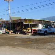 Fruit stand near Punta Banda : Baja2011